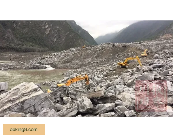 围绕团区护龙宝真不少的现象解析与价值盘点全景观察深度趋势报告